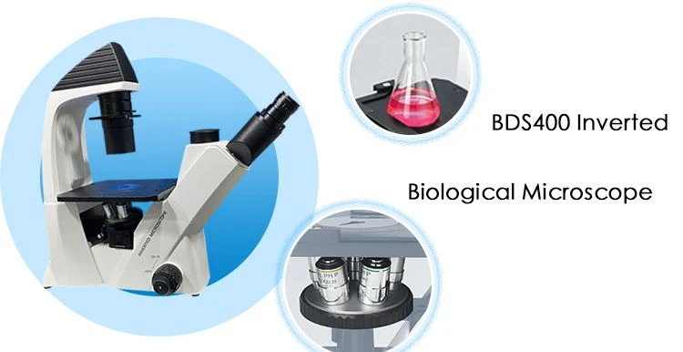 Inverted Biological Cells Microscope for sale